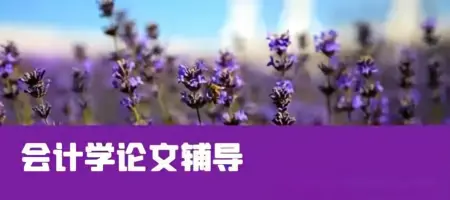 【会计学论文辅导】方向：公司财务